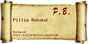 Pillis Botond névjegykártya