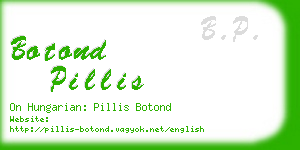 botond pillis business card